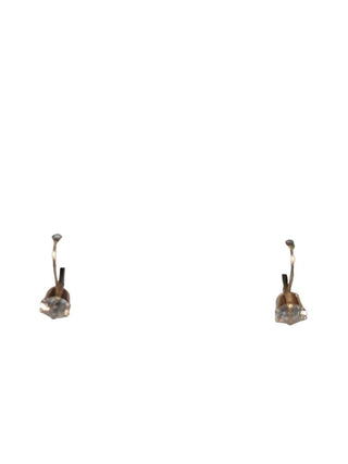 R 10K Stone Earrings