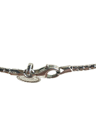 R SS Glass Pendant on SS Chain