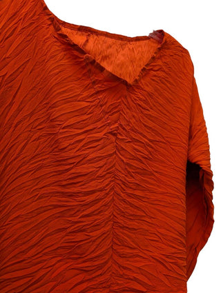 Long Sleeve Wrinkle Texture Blouse