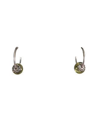 SS Stone Hoop earrings