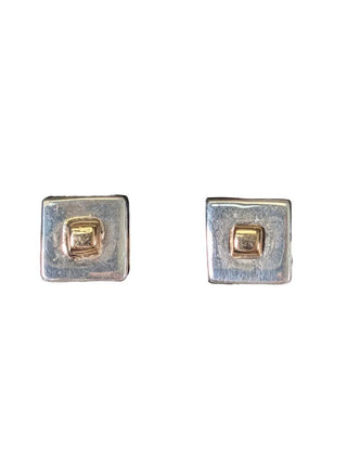 SS 14k Square Post Earrings