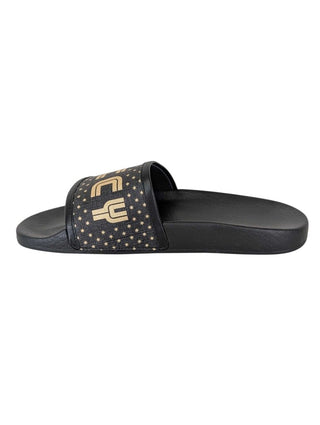 Metallic Canvas Slide