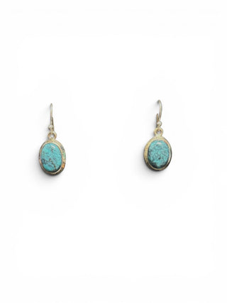 SS Stone Dangle earrings