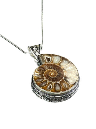 Sterling Silver Ammonite Shell Fossil Pendant Necklace