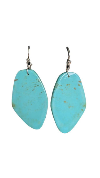Non Silver Stone Earrings