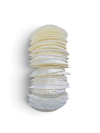 Shell Stretch Bracelet