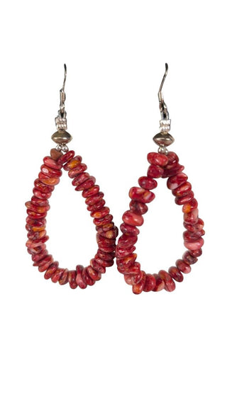 SS Stone Hoop Dangle Earrings