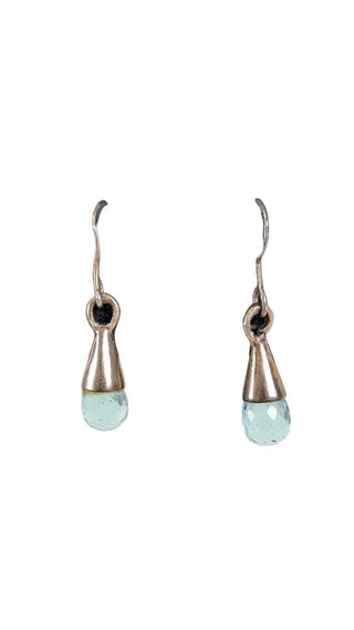 SS Teardrop Dangle Earrings