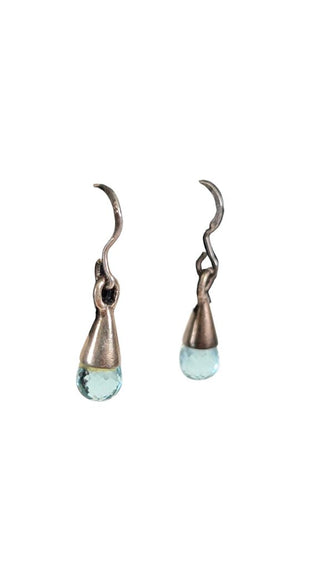 SS Teardrop Dangle Earrings