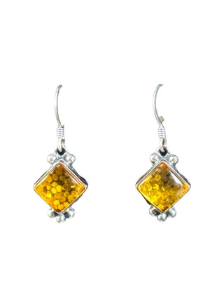 SS Stone Dangle Earrings
