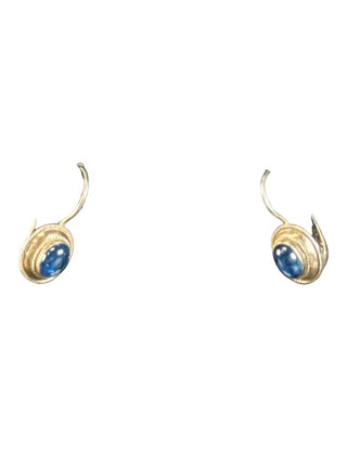 SS Stone Earrings