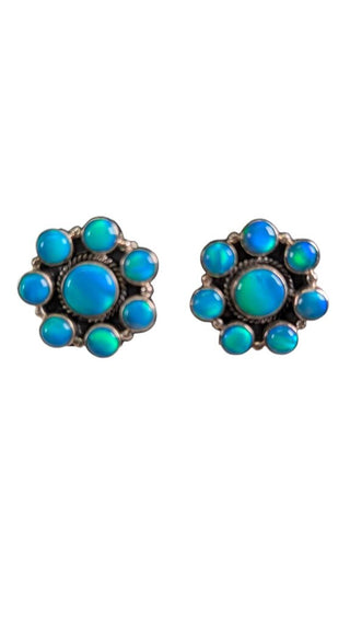 SS Stone Cluster Post Earrings