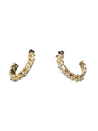 SS Hoop Earrings
