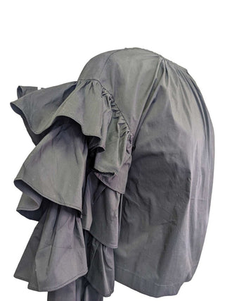 R NWT ruffle sleeve retails $85