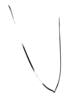R SS Herringbone V Necklace