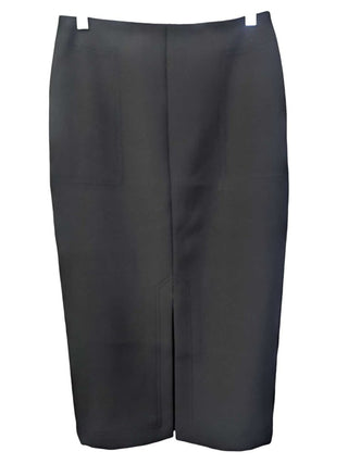 R NWT Pencil Skirt