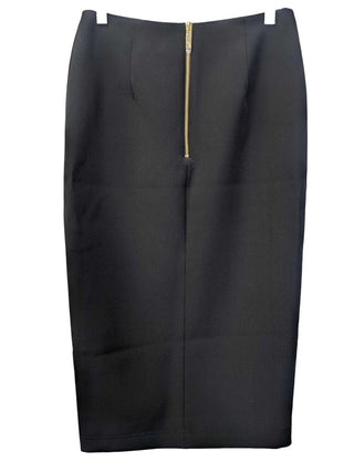 R NWT Pencil Skirt