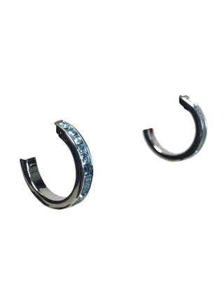 R stone hoop earrigs