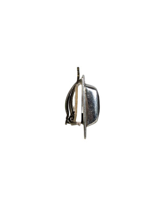R SS Stone Clip Earrings
