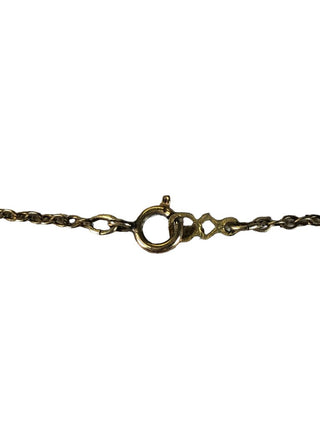 R SS Stone Horn Necklace