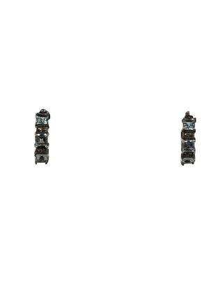 R SS Stone Hoop Earrings